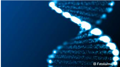 El conjunto de muchos genes influye en el desarrollo de una psicosis esquizofrénica.